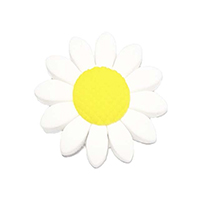 Ромашка белая