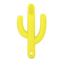 Кактус с щеточкой Салатовый