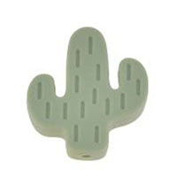 Кактус мини Лен