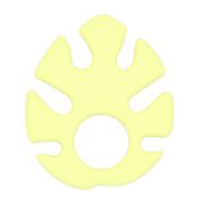 Монстера Крем