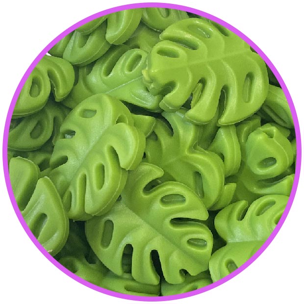 Монстера мини 2 Зеленый