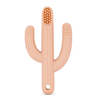 Кактус с щеточкой персик