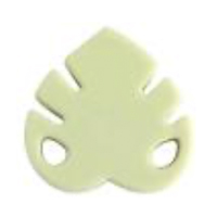 Монстера мини Лен